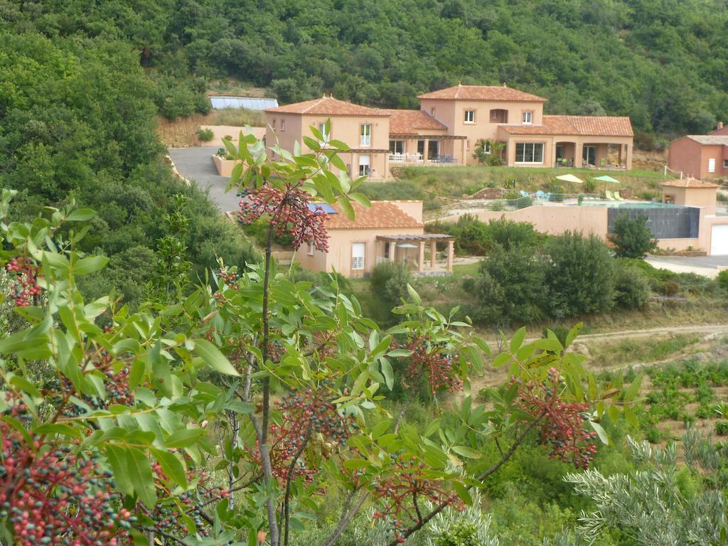 Domaine De Flo Adult A Partir De 16 Ans Bed & Breakfast Saint-Jean-de-la-Blaquiere Ngoại thất bức ảnh